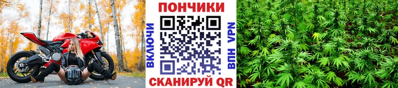 Купить закладки Цоци-Юрт Марихуана сатива